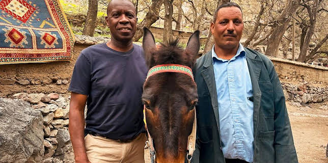 6:30 PM: Clive Myrie's African Adventure (S1) | BBC Two | 2/4 2026