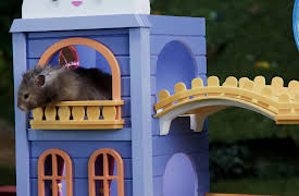 Mittens and Pants: Puppy Help