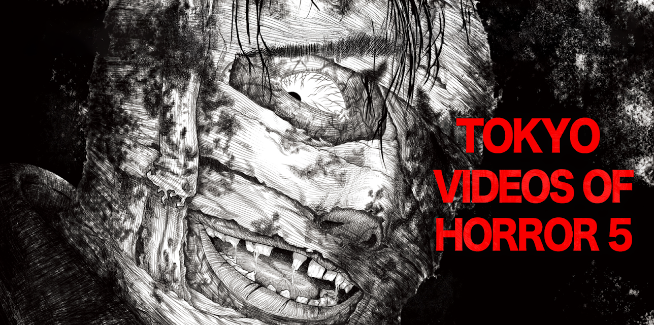Tokyo Videos of Horror 5 (2012)