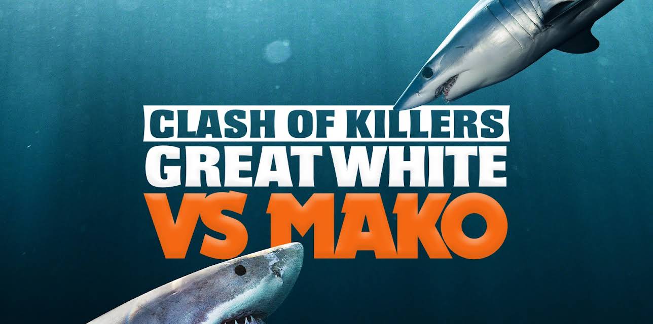Clash of Killers: Great White vs Mako
