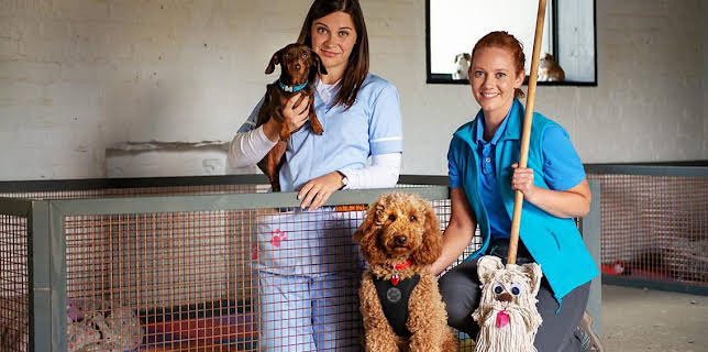 2:40 PM: Waffle the Wonder Dog (S3) | Cbeebies | 11/14 2025