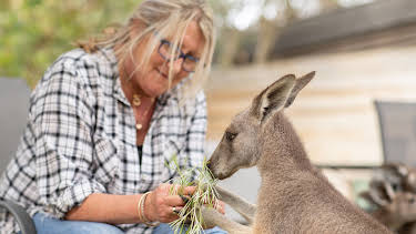 05:15: Dodo Heroes (S2 E5) (S2) | Animal Planet | 7/13 2026