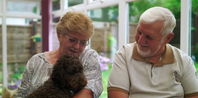 21:50: Hundehuset: Buttercup | NRK 2 | 3/24 2026