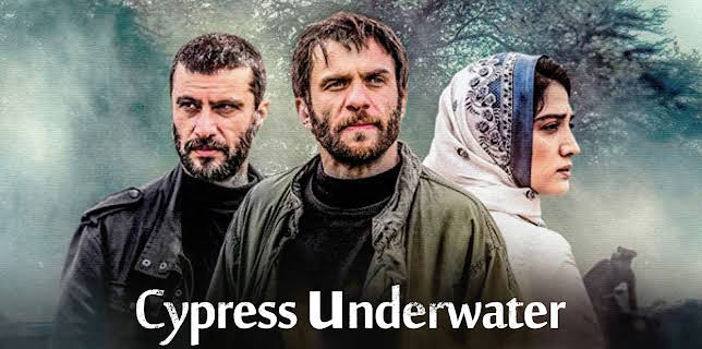Cypress Under Water (2018)