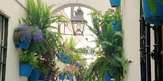 19:50: MDR Garten | MDR Fernsehen | 1/1 2026