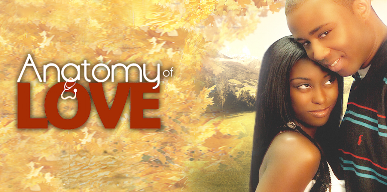 Anatomy Of Love (2010)