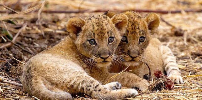 6:25 PM: Kingdom (S1 E3) (S1) | BBC One | 11/23 2025