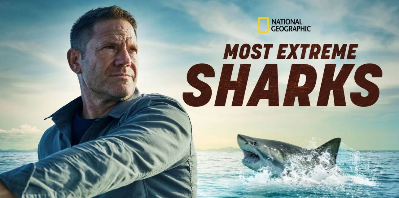 Most Extreme Sharks
