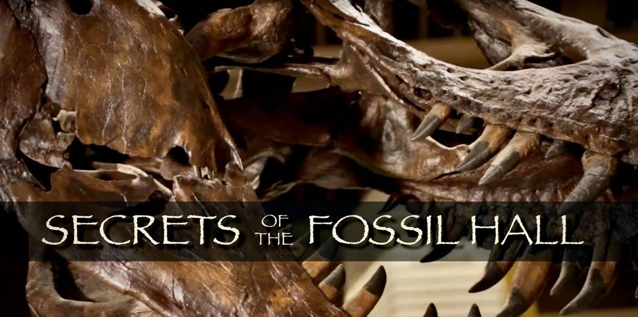 Secrets of the Fossil Hall (2014)