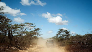 01:30: Wilde Wege | Arte | 3/29 2026