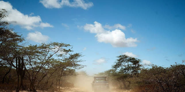 17:50: Wilde Wege | Arte | 3/9 2026