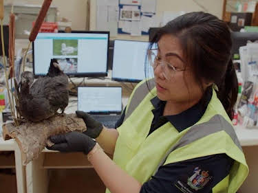 10:35: Border Patrol New Zealand | ProSieben Maxx | 4/28 2026