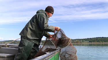 18:15: Handwerkskunst | SWR Fernsehen BW | 8/9 2026