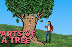 Ginalina's Music Club: Parts of a Tree