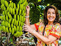 The Canary Islands with Jane McDonald