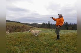 Growing Home: Operation Organic