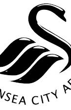 Swansea som 2020