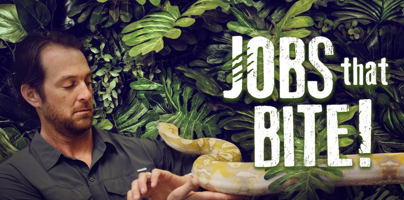 Jobs That Bite!