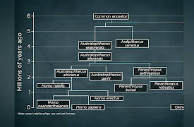 What Darwin Didn't Know: The Modern Science of Evolution: Human Evolution in All Directions