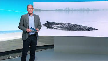 09:00: Nordmagazin | Radio Bremen | 4/2 2026