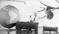 Grzimeks Vermächtnis