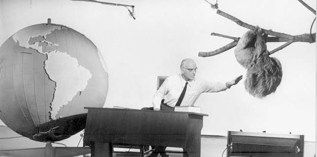 20:30: Grzimeks Vermächtnis | Tagesschau 24 | 11/18 2025