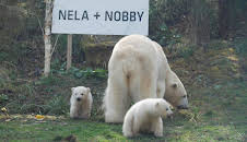 Neues aus dem Münchner Tierpark Hellabrunn (1/30)