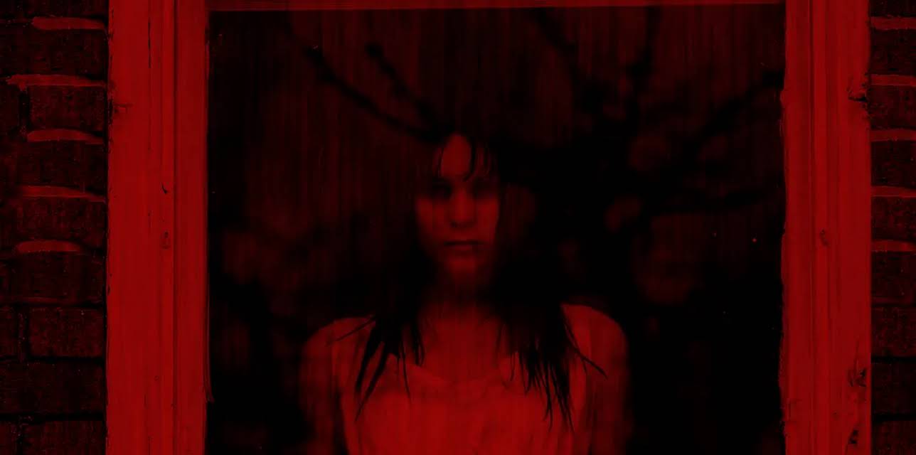 Secrets in the Walls (2010)