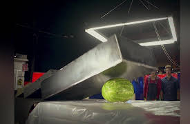 MythBusters Jr. Season 1: Demolition Dominoes