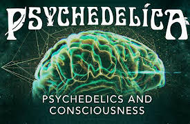 Psychedelica: Psychedelics and Consciousness