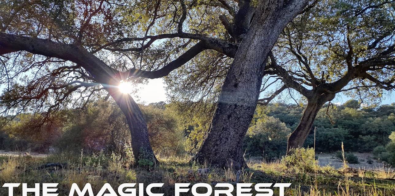 The Magic Forest of Spain (2019)