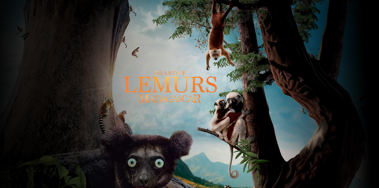 Island Of Lemurs: Madagascar (2014)