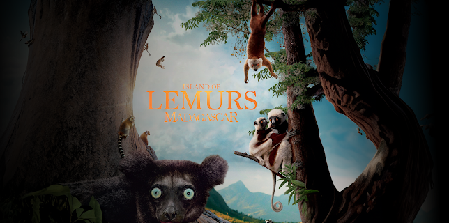 Island Of Lemurs: Madagascar (2014)