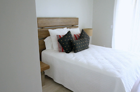 Bahamas Life: From Barrier Reef to Bahamas