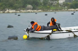 The Amazing Race: The System Hacked Me