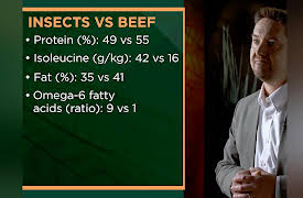 Why Insects Matter: Earth’s Most Essential Species: Insects as Food for People