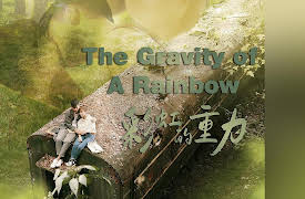 The Gravity of A Rainbow: 彩虹的重力