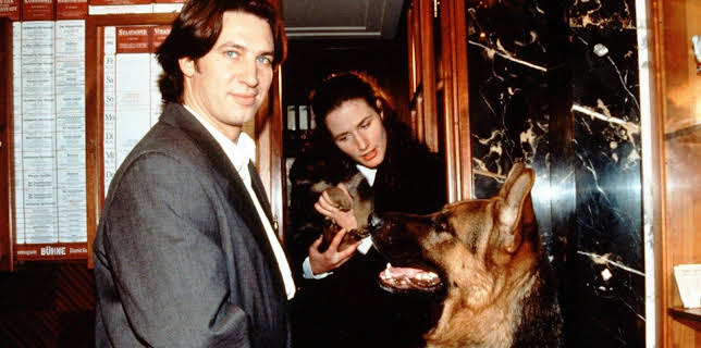 21:15: Kommissar Rex | Sat1 Gold | 12/24 2025