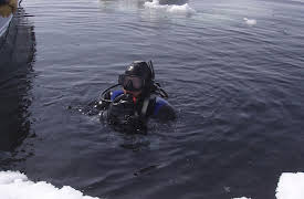 Great Migrations: Kampen for å overleve