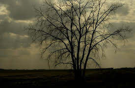 Heartland Homicide: Sydney Loofe