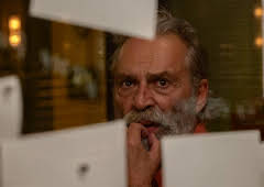 The Turkish Detective