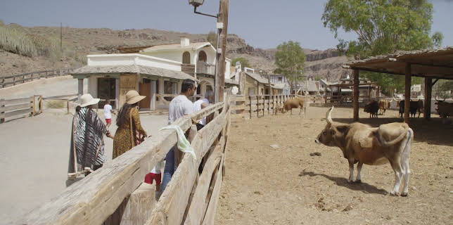 02:55: Charterfeber Norge (S9 E18) (S9) | TV3 | 3/25 2026