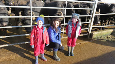 12:20 PM: Down on the Farm (S3) | Cbeebies | 7/12 2026