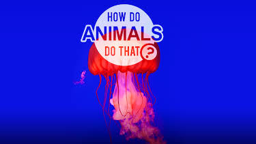 04:38: Dyrenes utrolige evner (S1 E25) (S1) | Animal Planet | 4/5 2026