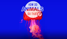 Dyrenes utrolige evner (S1 E7)