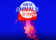 Dyrenes utrolige evner