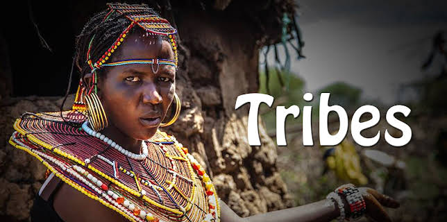 Tribes