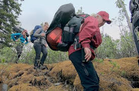 Win the Wilderness: Eliminación