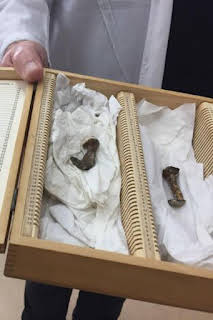 22:00: El ADN de Jesucristo | Discovery Max | 4/3 2026