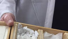 El ADN de Jesucristo